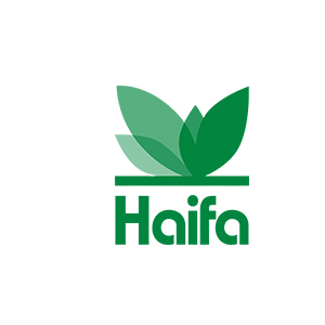 Haifa