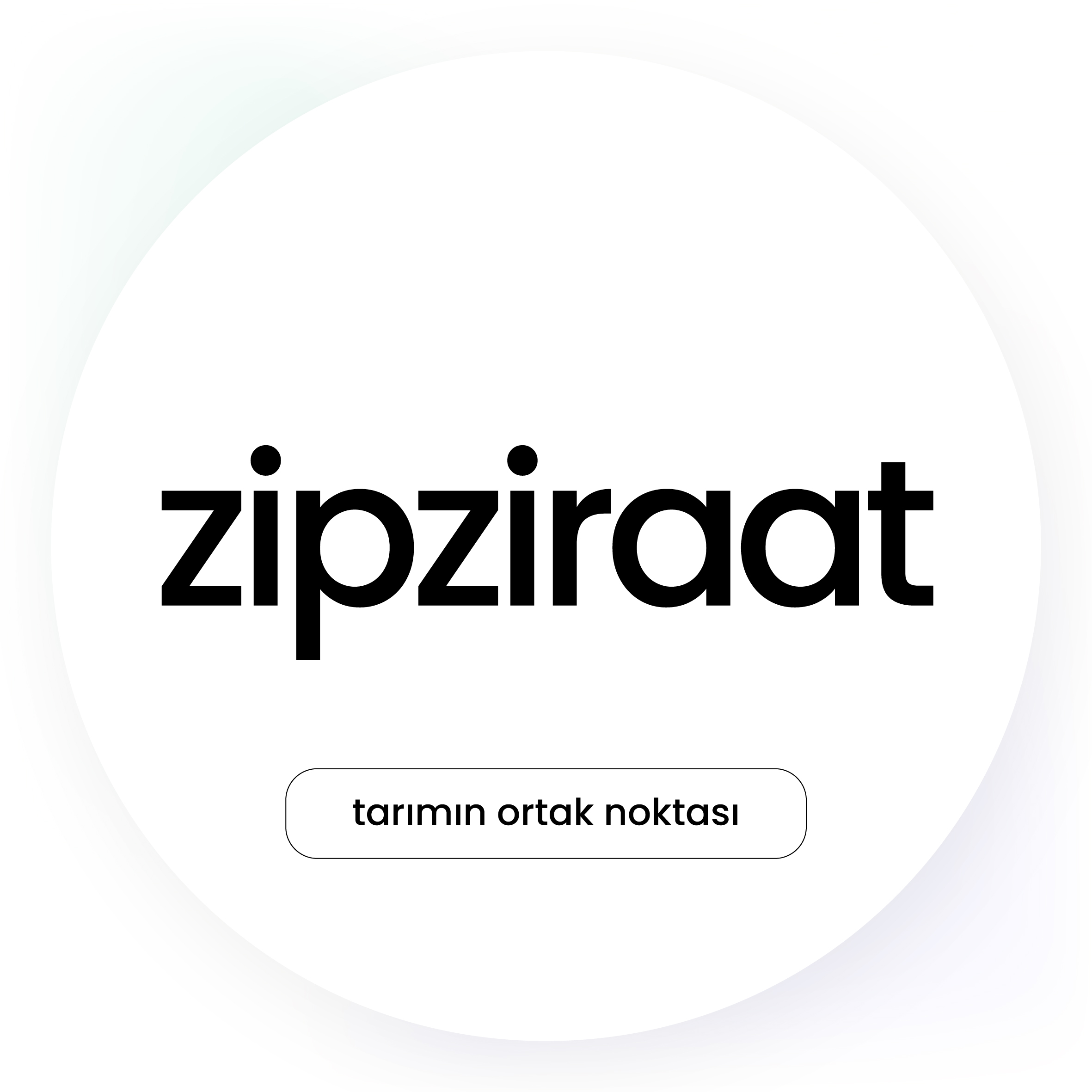 Zipziraat